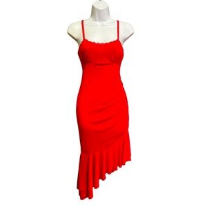 Red Wild Fable Mesh Lace Asymmetrical Dresss